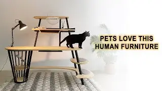 Irresistible Furniture For Pets And Humans 🐱🪑🐕