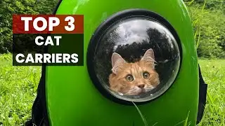 Stylish and Comfortable: The Best Cat Carriers for Your Pet!