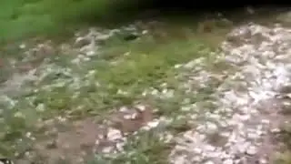 Как дети относятся к рыбалке)