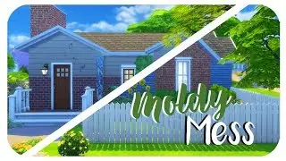 The Sims 4: Speed Build | MOLDY MESS *:・ﾟ✧