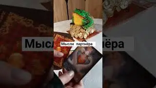 мысли партнера 