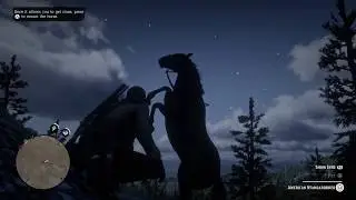 Red Dead Redemption 2  How To Break A Horse