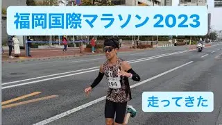 福岡国際マラソン2023走ってみた【vlog】