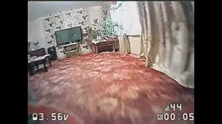 Полетухи дома😜✈️