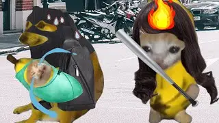 BANANA CAT BABY 🐱 HAPPY AND 😿 CRY VIDEOS 😭 ( 1 HOUR ) 