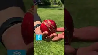 🏏Cricket is having a moment in the U.S. 🏆 #thinkoutloud #CricketUSA