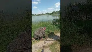 21 июня 2023 г.
