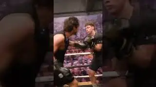 SPARRING VS UNICORNIO
