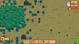 Stardew valley. Взлом стамины или бесконечная выносливость.