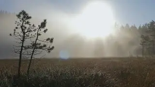 Mist and fog