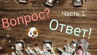 Трешовый вопрос-ответ (1 часть)