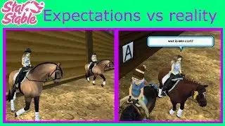 Expectations vs reality | Starstable Online