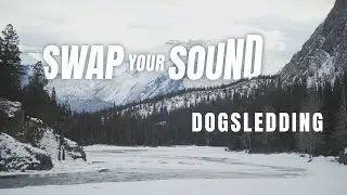 Swap Your Sound — Banff Dogsledding