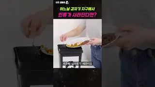 만약 어느 날 갑자기 지구에서 인류가 사라진다면? #shorts