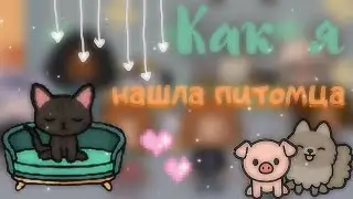 •🌷как я нашла своего питомца?/история/toca boca🌧️•