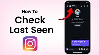 How To Check Last Seen On Instagram Copy (2025)