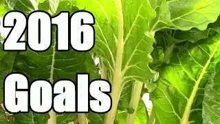 Top Five 2016 Gardening Goals: Grow More, Work Less, Spend Less, Learn More, Have More Fun