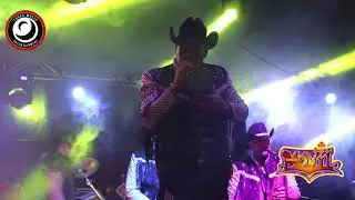 Vestida de color de rosa (Banda Móvil  En vivo 2019)