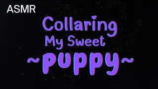 [Furry ASMR] Collaring My Sweet Puppy~ [M4A]