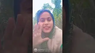 Koko daka Dil mangte❤️