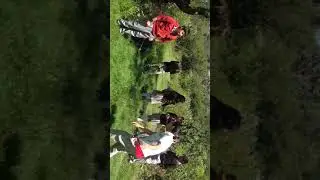 UFC 214