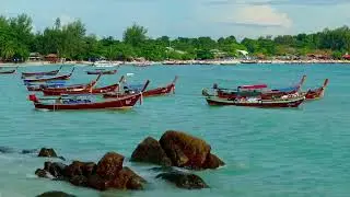 nature videos  #nature #viral #relaxing #paradiseofrelaxing