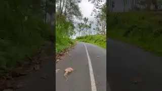 Jalur Ponorogo - Tulungagung