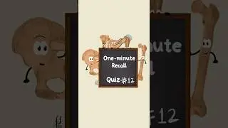 Recall Card 12 | Bone cells | A cell in a minute