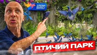 УГАР ИЗ ЖИЗНИ #49 | ПАРК ПТИЦ И НЕРЕАЛЬНЫЕ КРАСОТЫ!