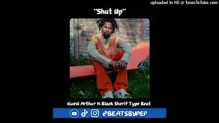 [FREE] KWESI ARTHUR X BLACK SHERIF X NASTY C TYPE BEAT 