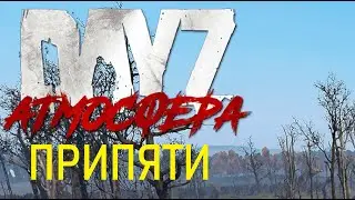 DayZ. Дорога на припять.