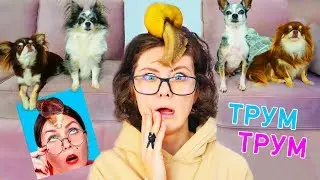 Это самые тупые лайфхаки Трум Трум для животных! Не повторяй эти лайфхаки для питомцев никогда!