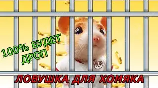 ЛОВУШКА ХОМЯКА - РАЗОЧАРОВАНИЕ ГОДА ИЛИ САМЫЙ ЖИРНЫЙ ДРОП? Hamster Kombat прогноз