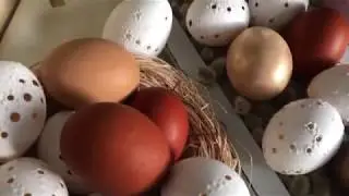 JARO 🌸🐣🥚Velikonoční výzdoba🥚🐣🌸Vajíčka /vlog 12