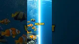 The invisible line no animal can cross! 