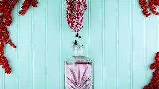 COMO FAZER LICOR DE CASSIS