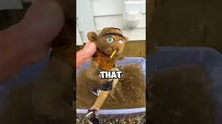 I Repaired A Dirty Jeffy Puppet!