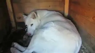 ВСЕМ ИНТЕРЕСНО И МНЕ ТОЖЕ  КАК  ТАМ ЛАЙМА!!!