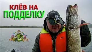 ЩУКА. ТРОЛЛИНГ. Отличный КЛЁВ на ПОДДЕЛКУ.