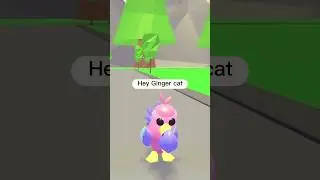 Sad Story of Ginger Cat 😿 