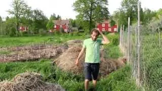 The Compost Heap