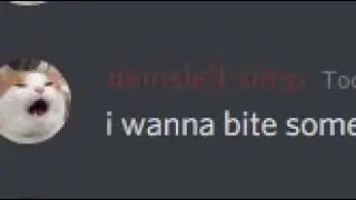 average discord chat experience