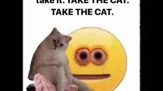 TAKE. THE. CAT.