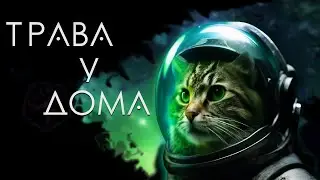 TIMO MAAS & ЗЕМЛЯНЕ — First Day &Трава у дома | Гимн российской космонавтики | Кавер-группа DOUGLAS