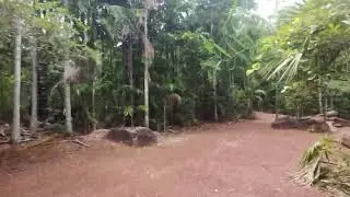 Darwin Pool