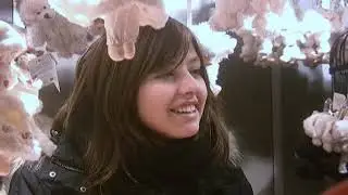 Страна Тиролия
