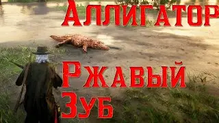 Аллигатор Ржавый Зуб Легендарные животные - Red Dead Online