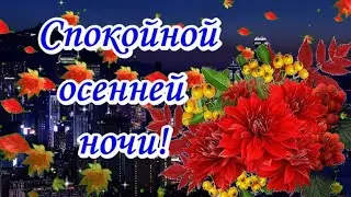 Спокойной осенней ночи!