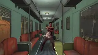 car shearer plays half life 2