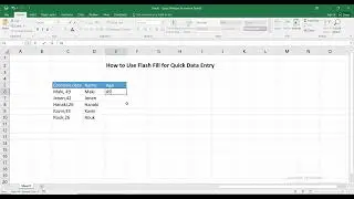 How to Use Flash Fill for Quick Data Entry in excel
